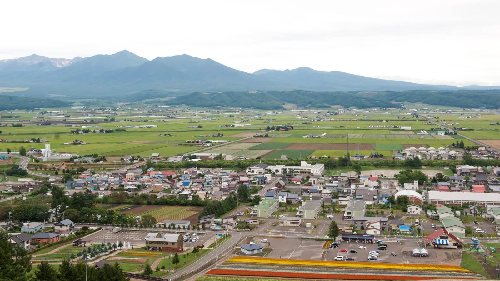 首都圏社員の地方研修